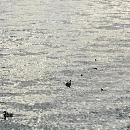 A Casa Di Chiara 2 * 스트레사